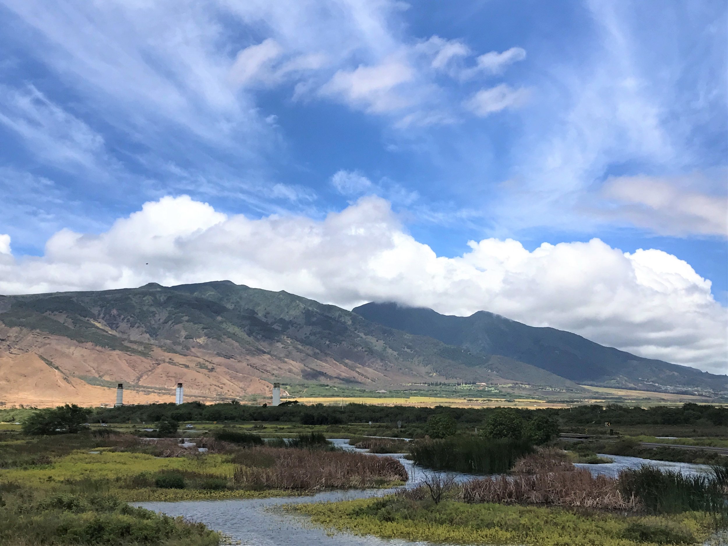 Kealia Pond National Wildlife Reserve / warporweft.com