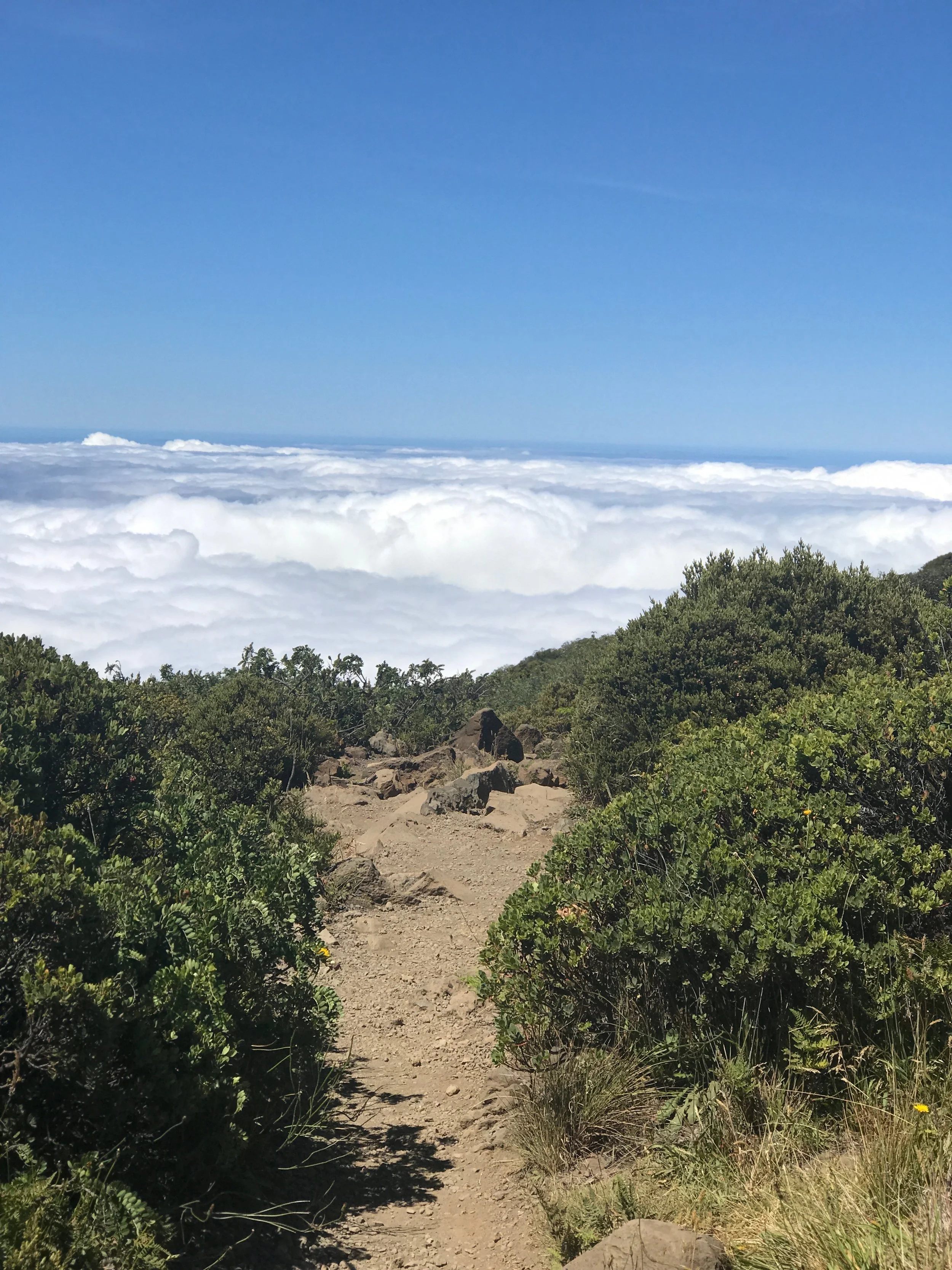 Haleakala National Park / warporweft.com