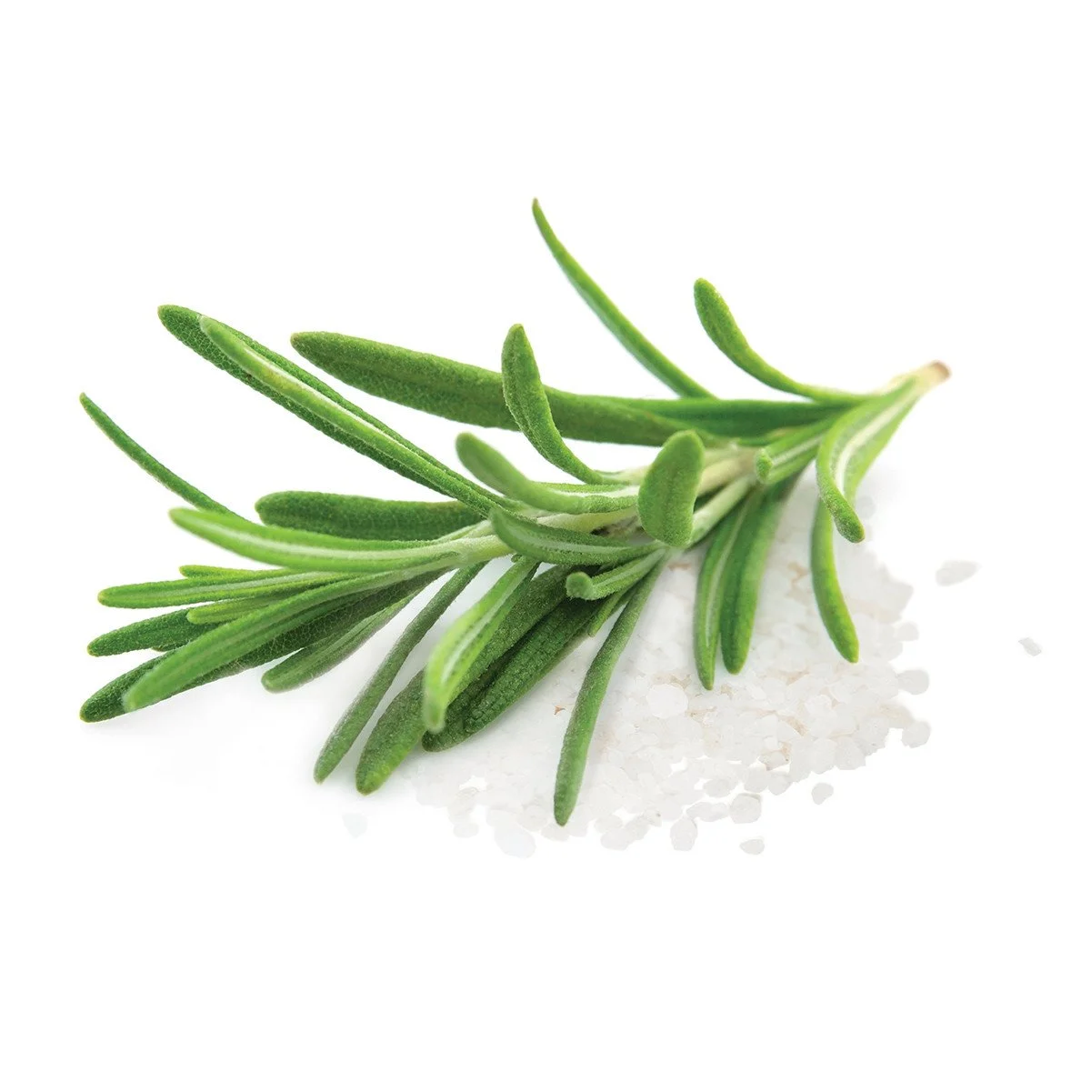 Rosemary Truffle Sea Salt