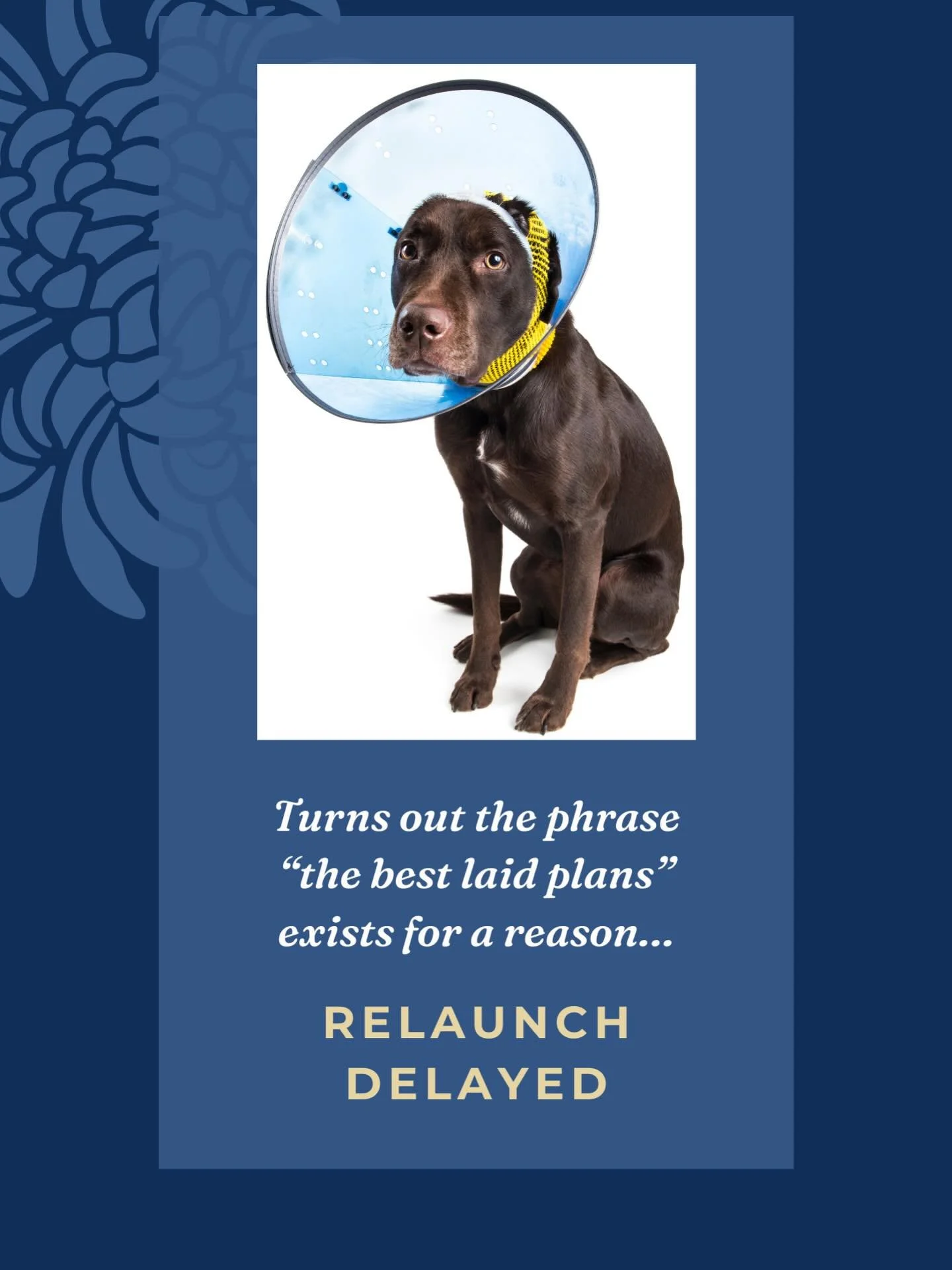 Unfortunately I am not able to relaunch as planned and will remain closed for the near future. Due to an accident in October during my planned shut down and a very unplanned detour through recovery and future care, I will not be able to realistically