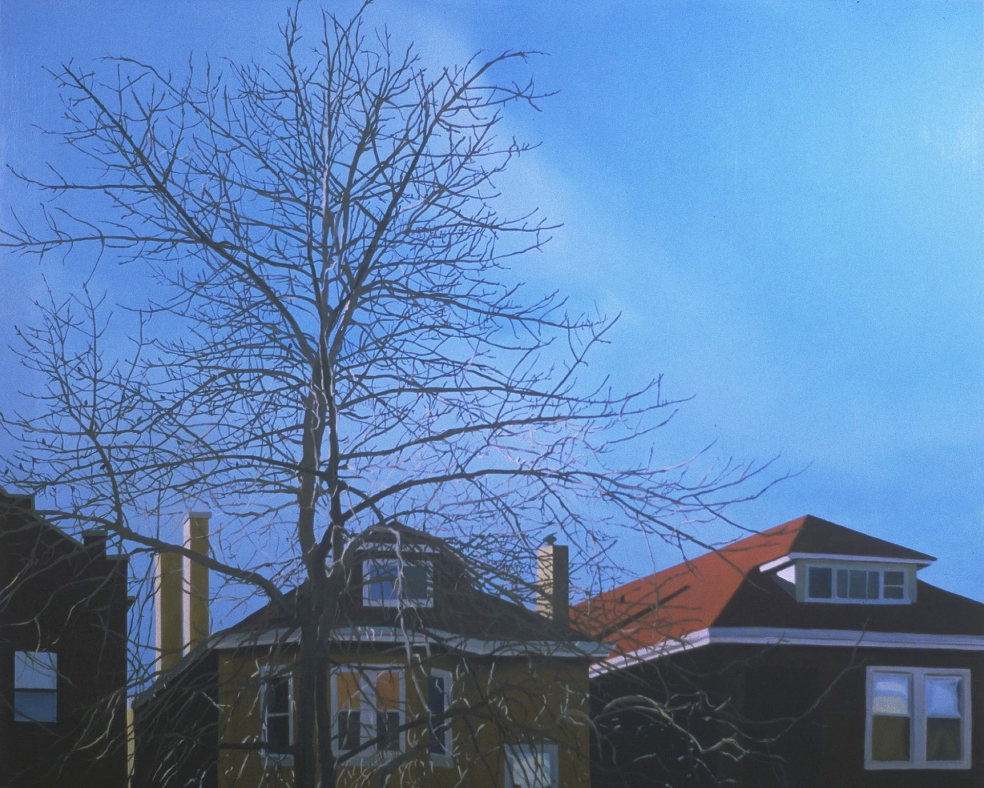 7-Motif.jpg