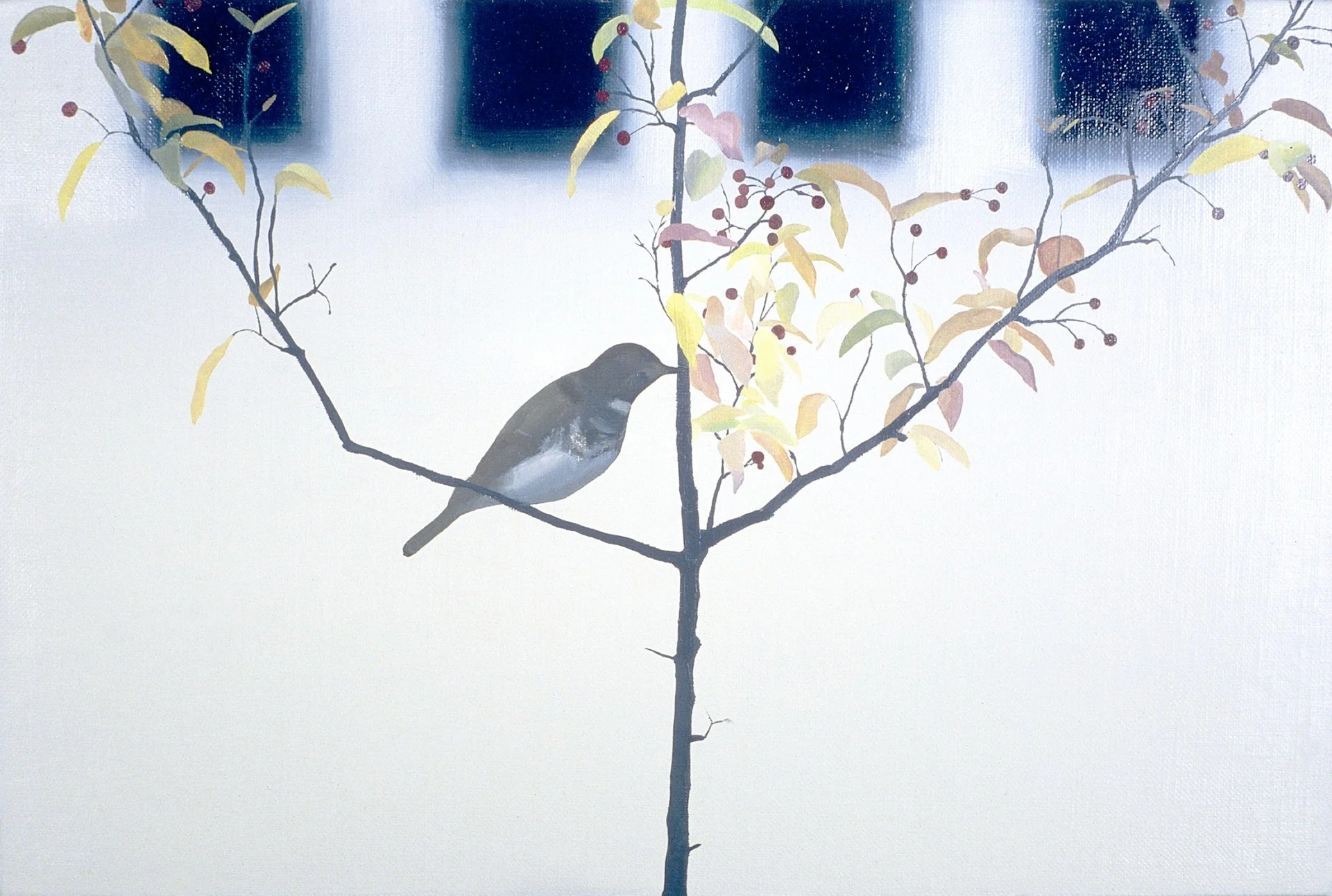 Thrush