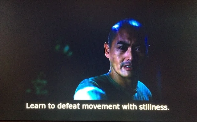 From Crouching Tiger, Hidden Dragon