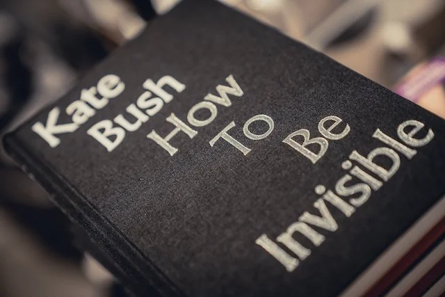 Kate Bush How To Be Invisible Book.jpg