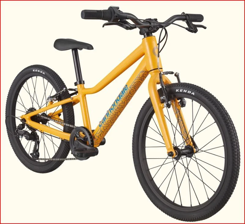 CANNONDALE KIDS 20" QUICK
