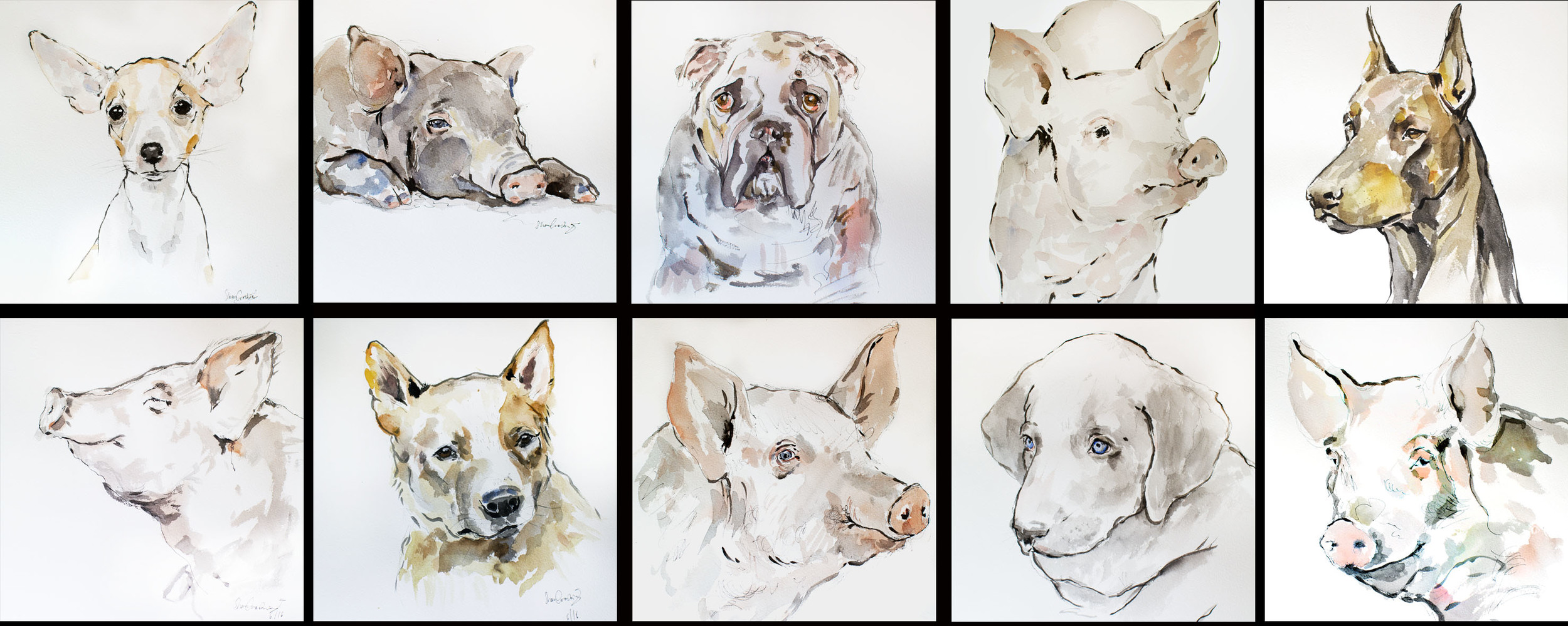 Pigs and Dogs (80 Pieces), 2016, Ink and Watercolour on paper