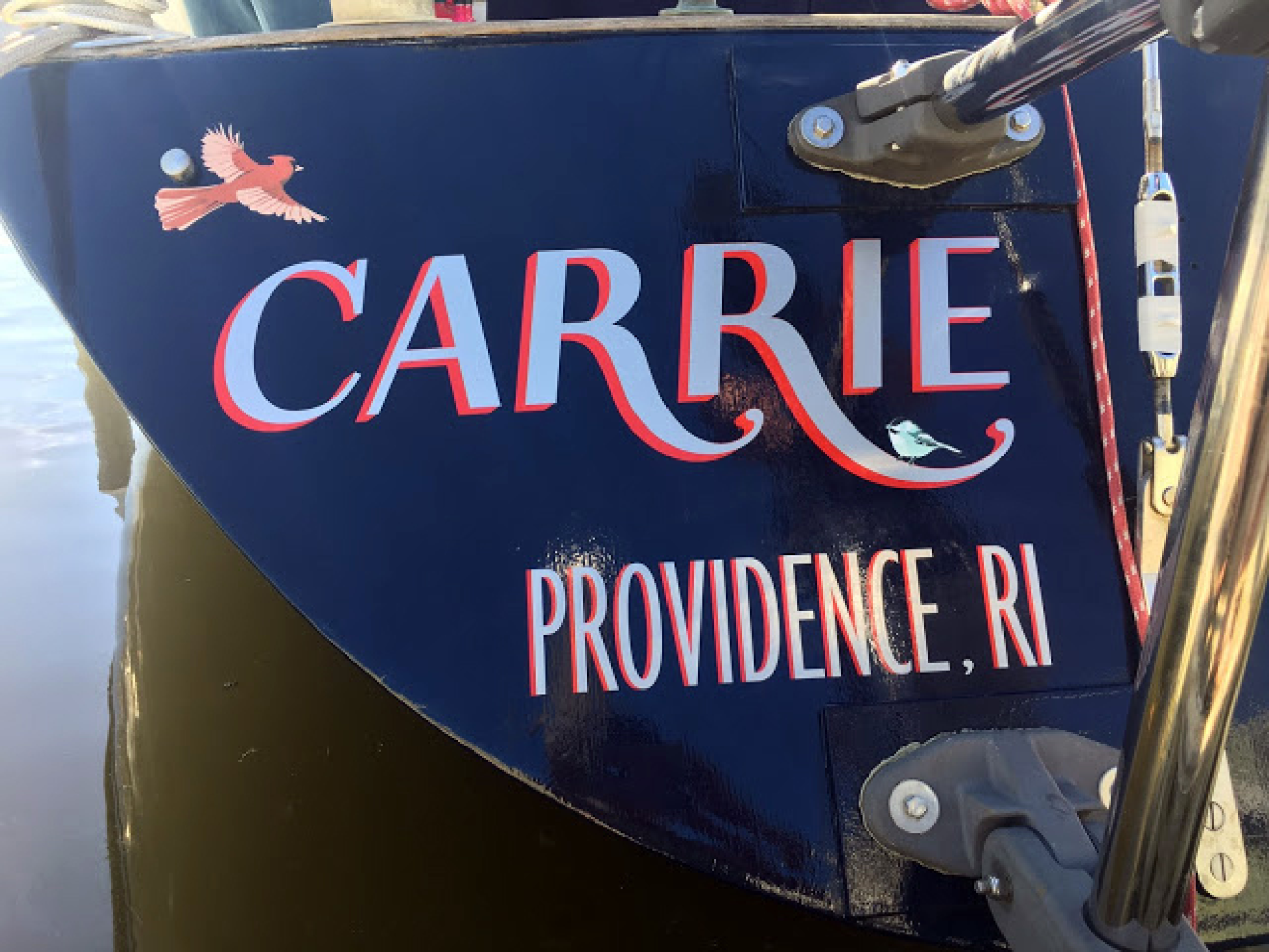 carrie_web_documentation2.png
