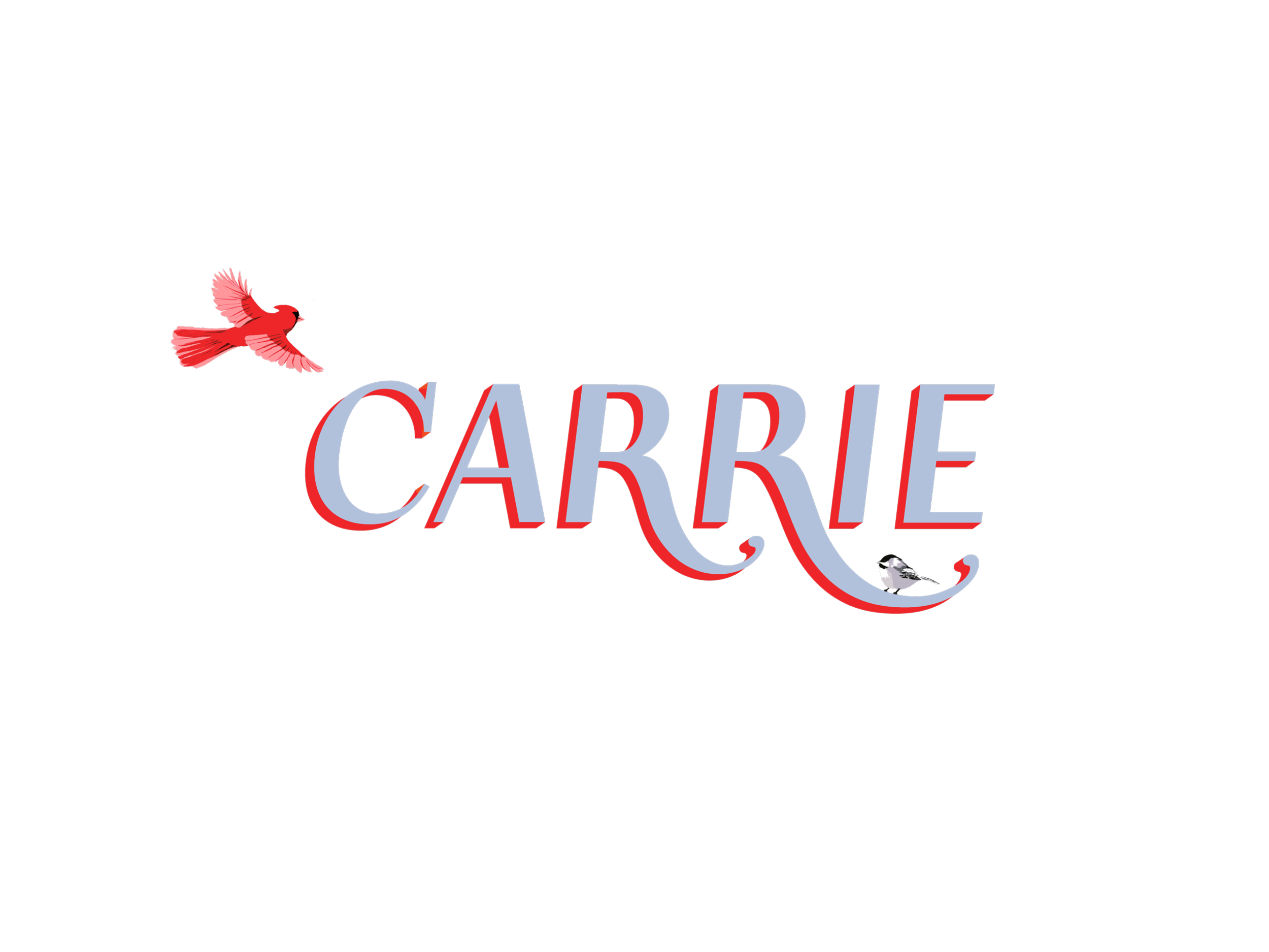 carrie_type_web_documentation.png