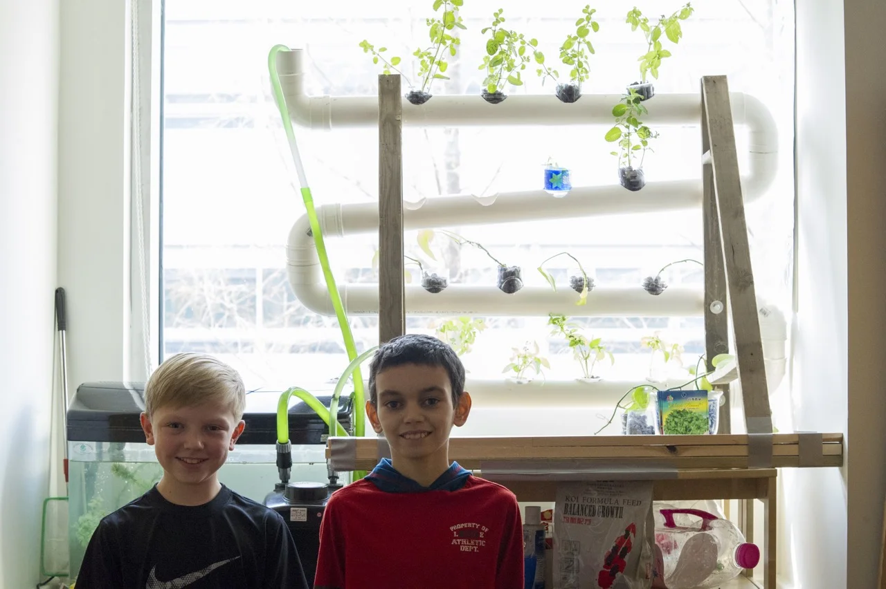 aquaponics.jpg