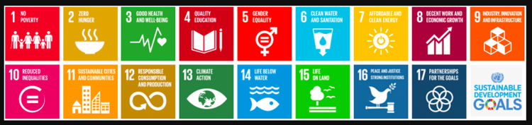 Why might the SDGs be a solid foundation for authentic action?