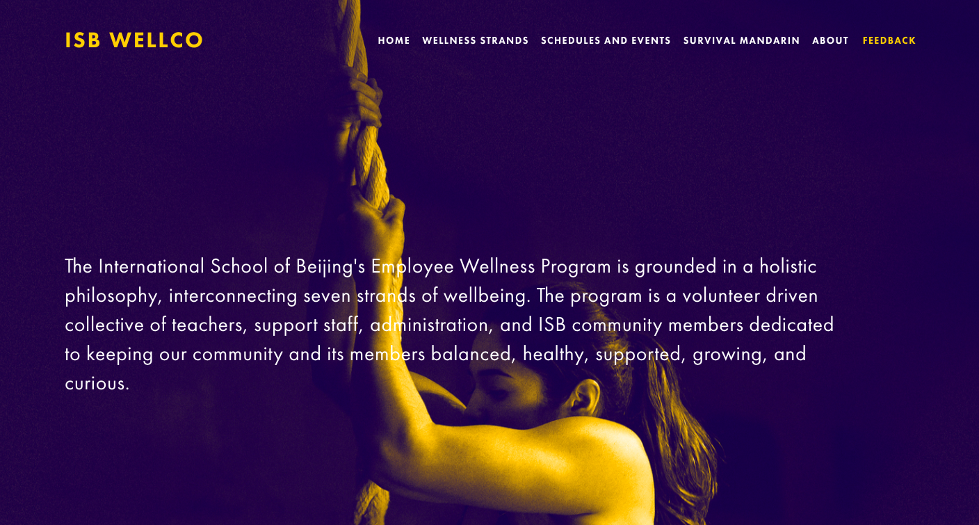 School-wide Wellness Program Development