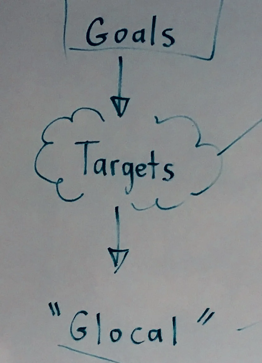 Identify an SDG Goal Find two targets "Glocalize" one target and create a compelling question
