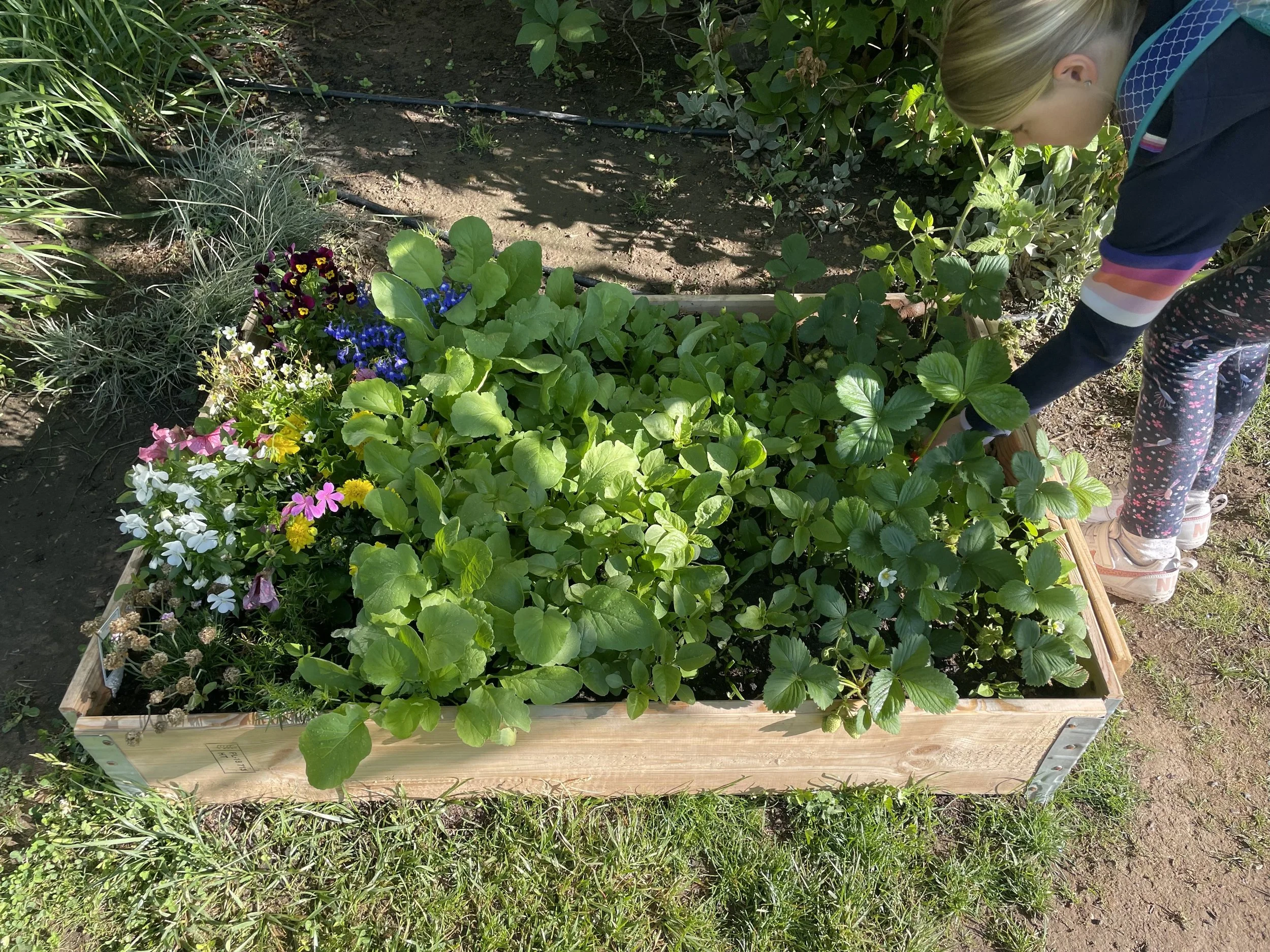 Taking it Outside: Learning in the Garden