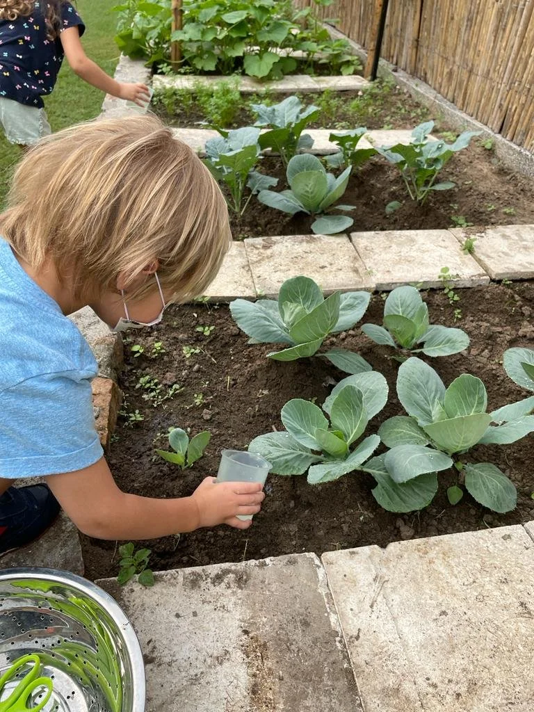 Sustainability Education Starts in Pre-K as Students Learn About Food Waste