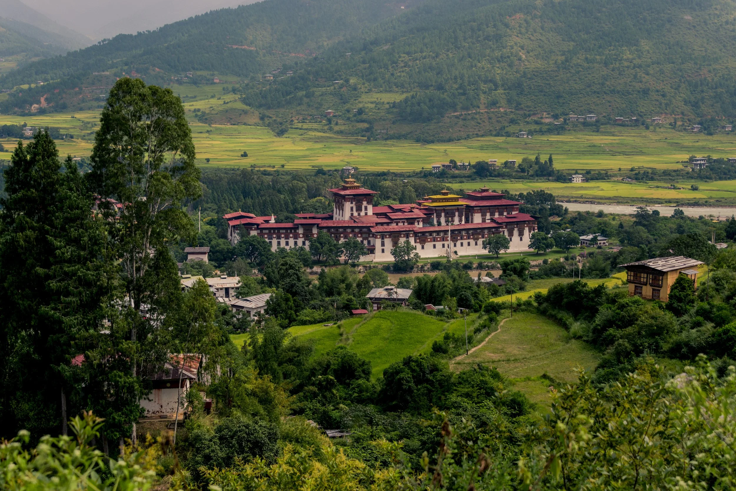Punakha Dzong, Punakha(14).jpg