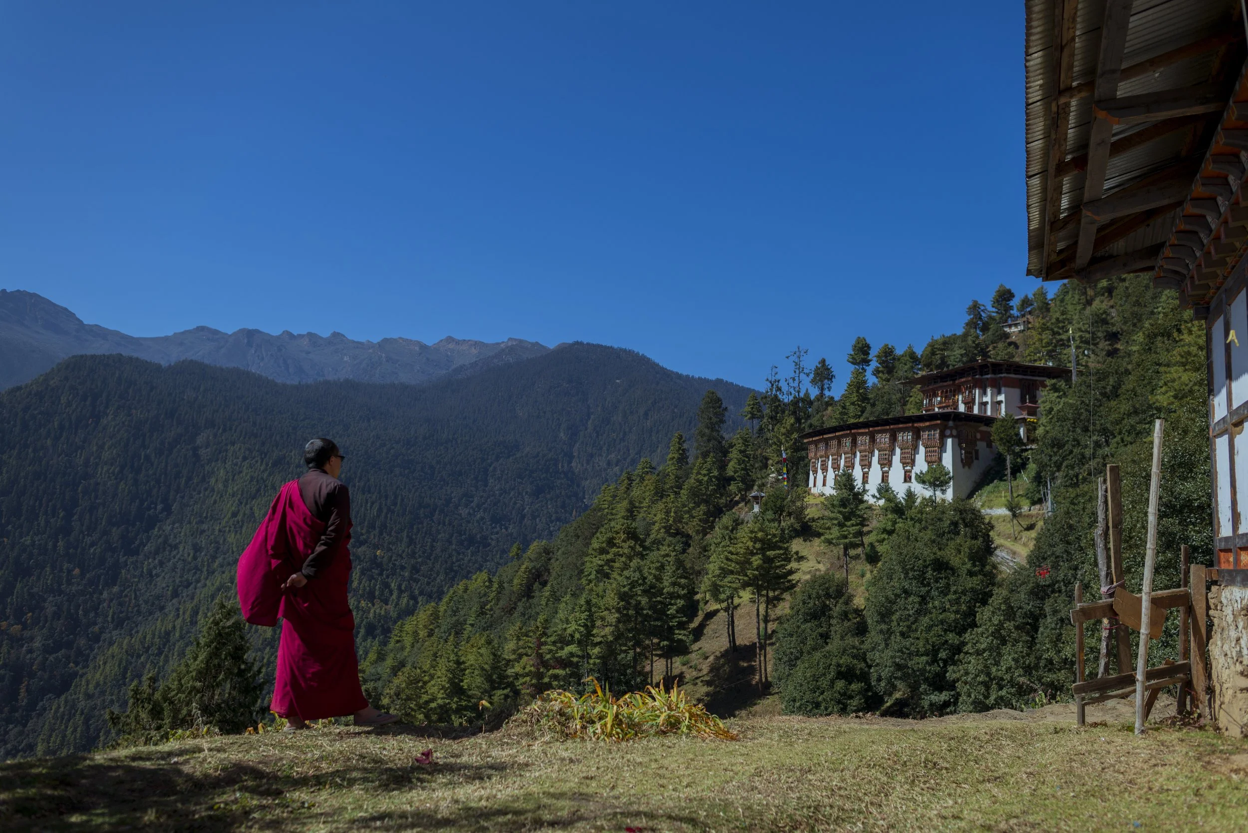 Monk in Tango Monastery, Thimphu.jpg