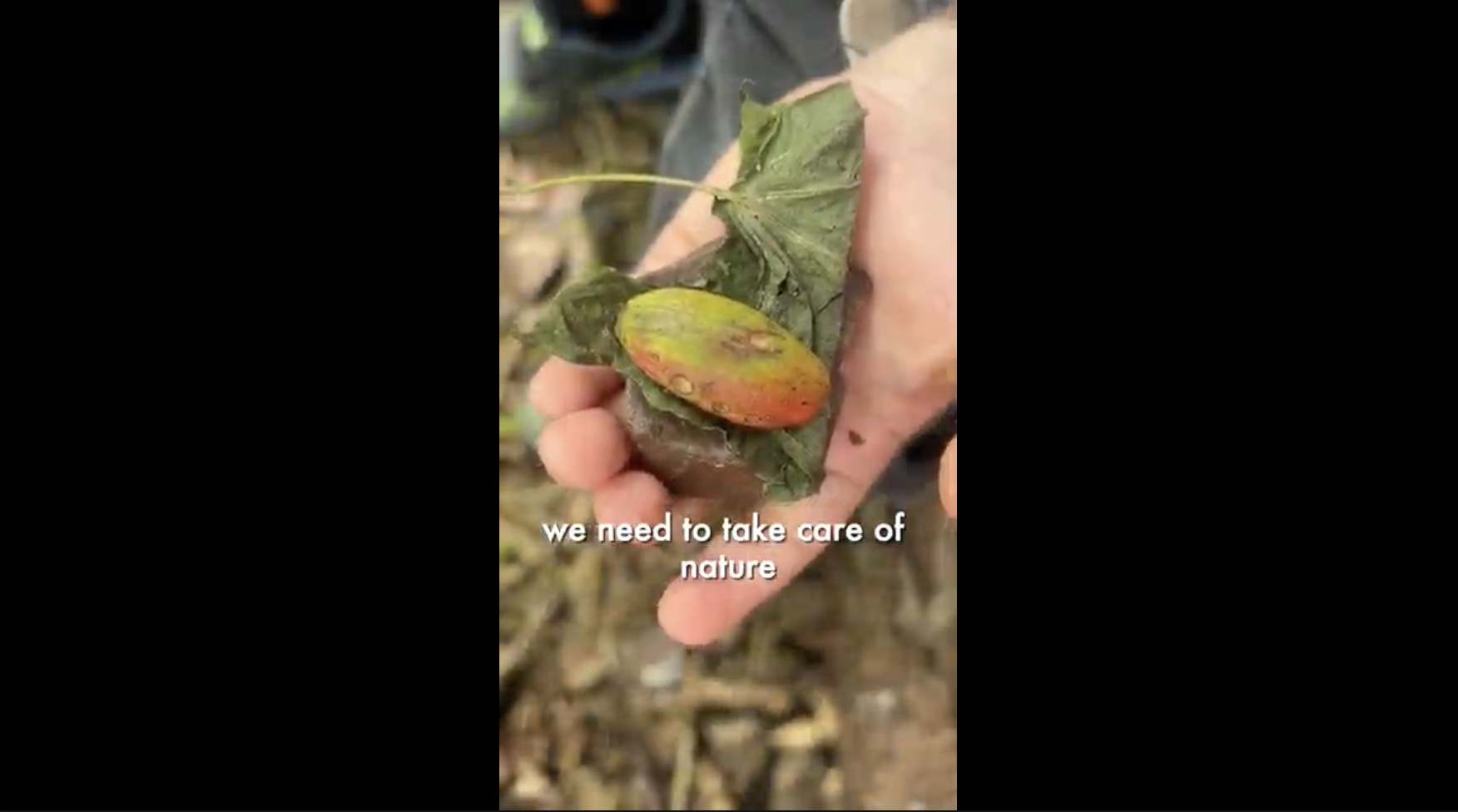 Through Their Eyes: Eco-Photography with PYP Students