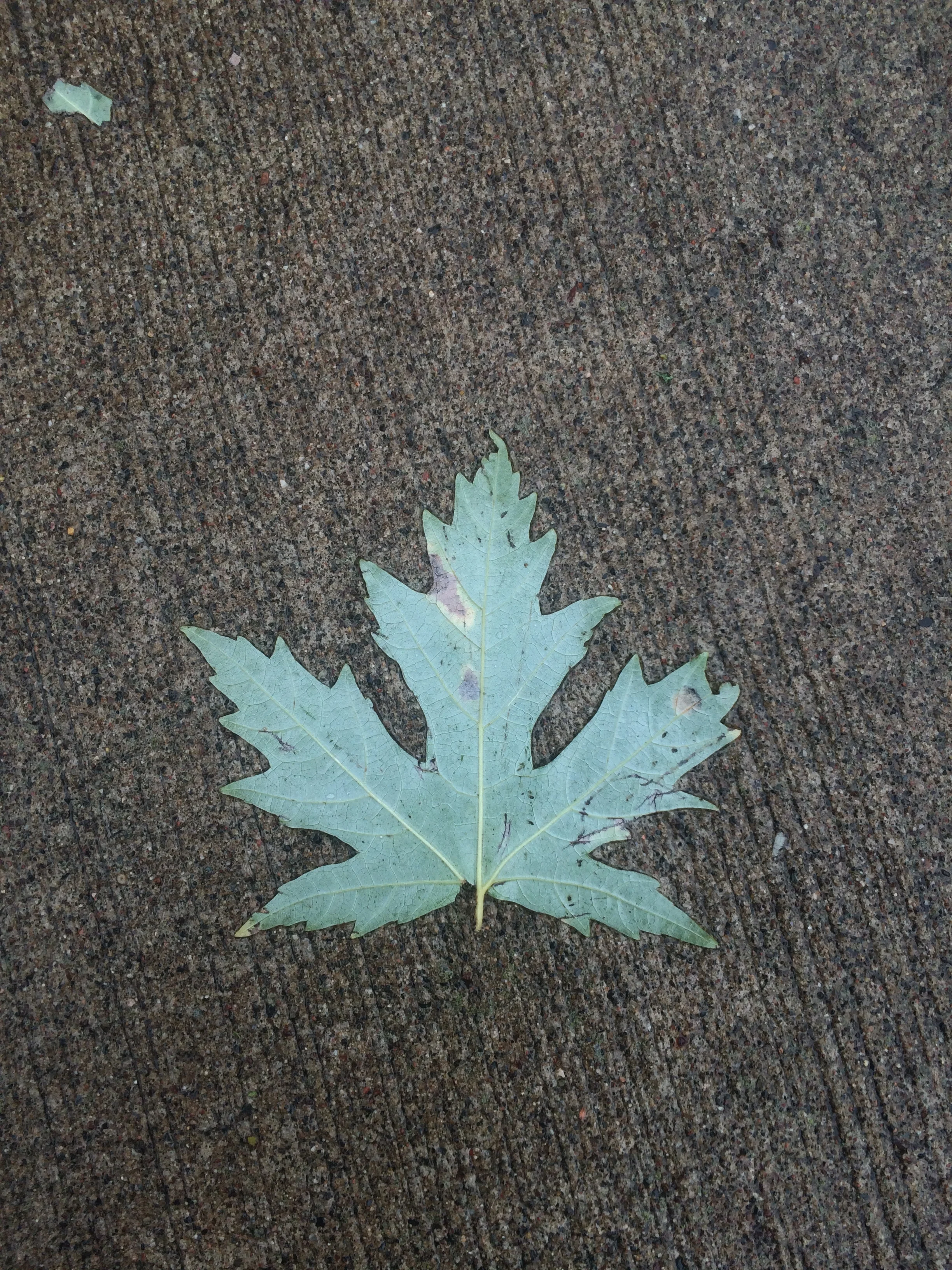 Daily Life Inspires Art And Design Welcome