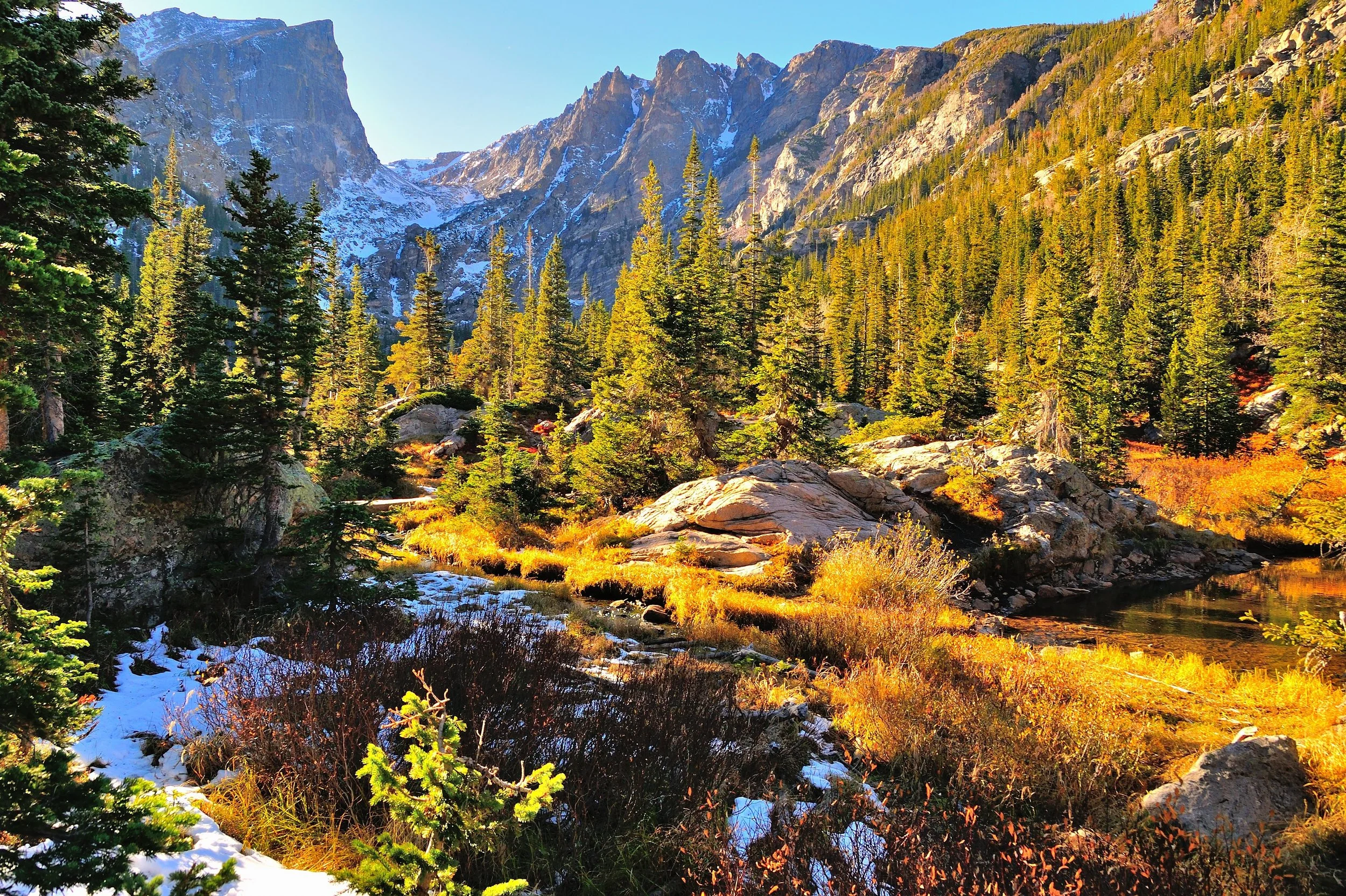 Lost In The Wilderness