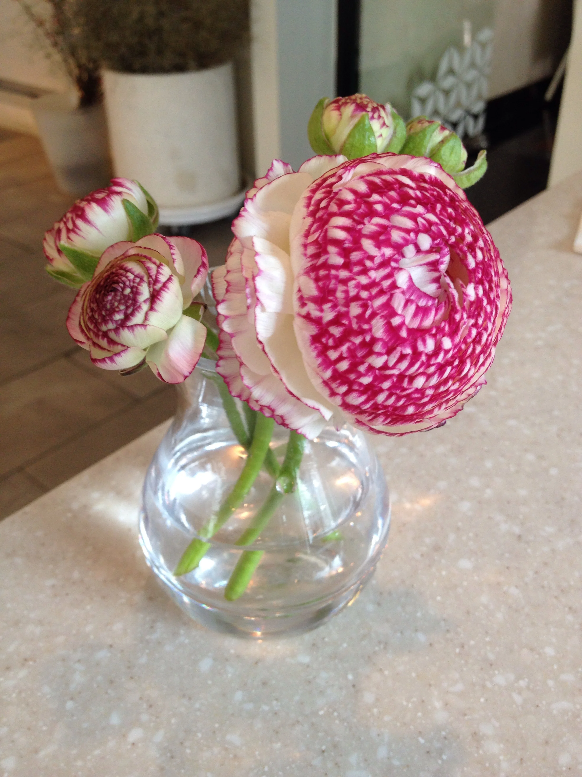 Pretty fresh cut flowers at each of the tables!