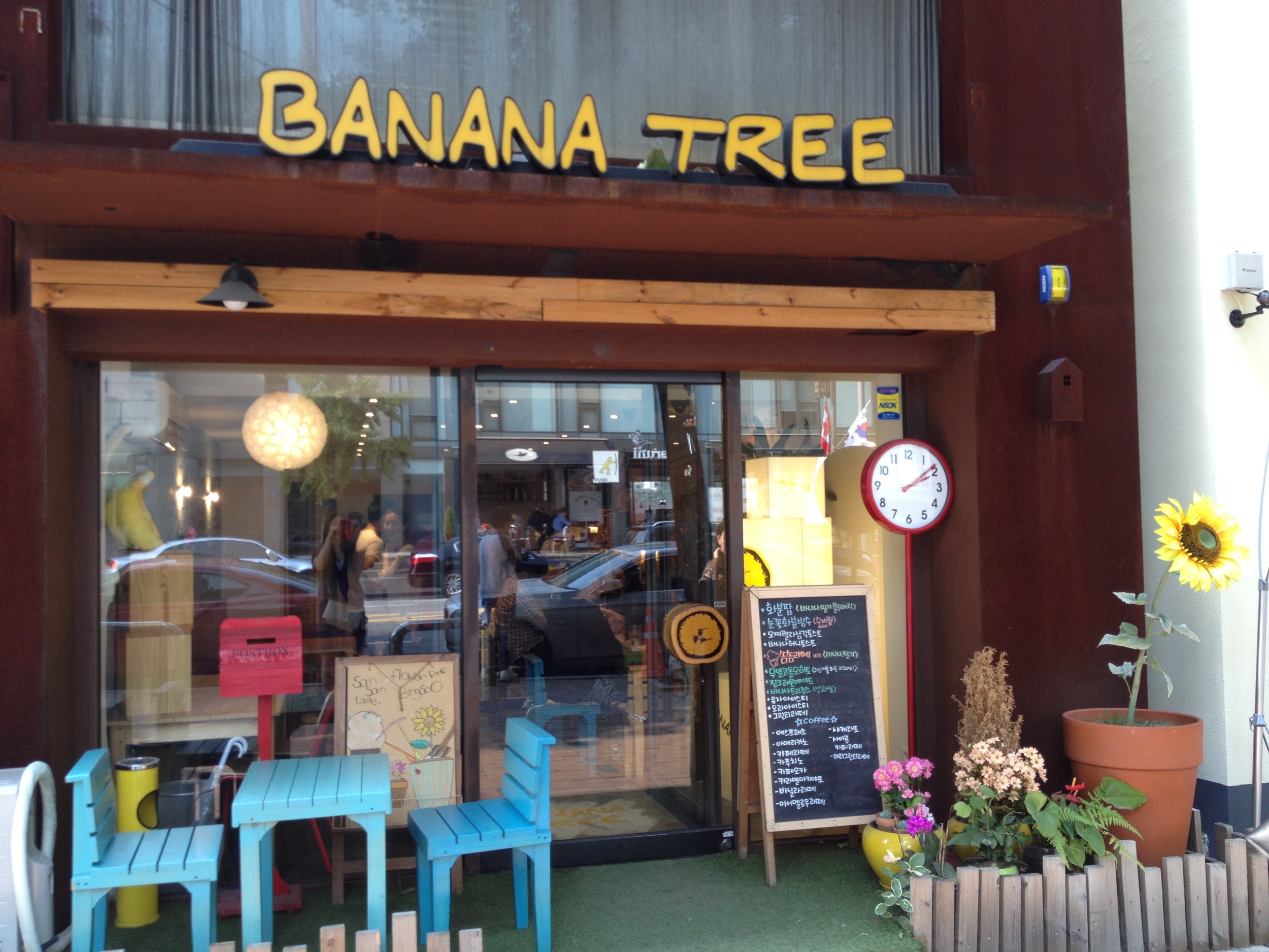 Banana Tree by day...