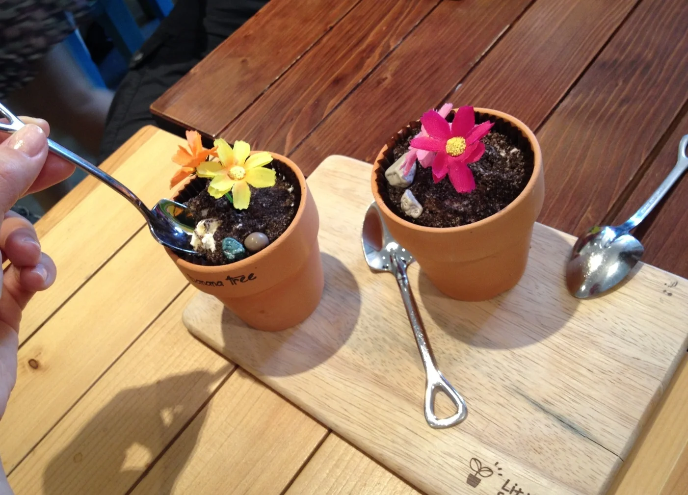 Banana Tree (바나나 트리). Potted Pudding Desserts