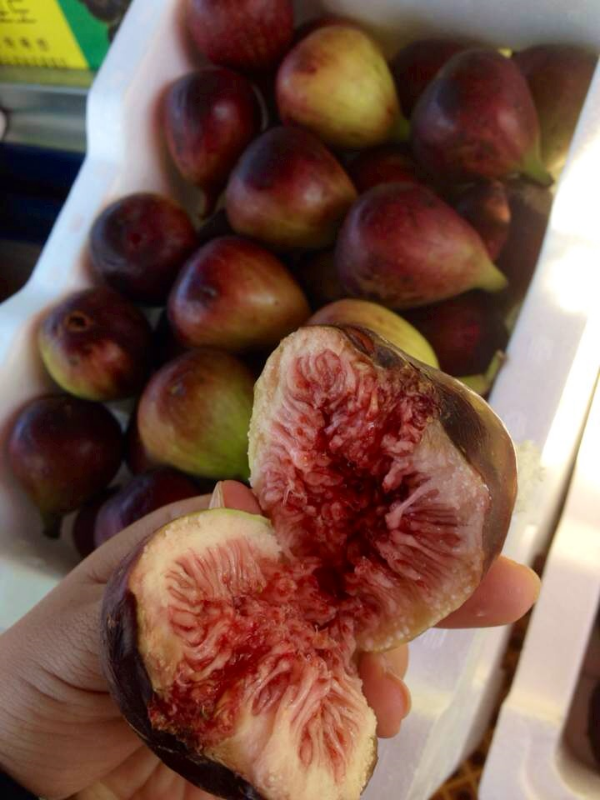 I love the texture of the seed along with the sweet flesh of this juicy fruit. I don't eat/buy this often, but I love fresh figs!