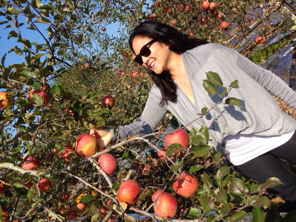 You can buy what you pick - and there were so many beautiful red apples easily available to pick off! 