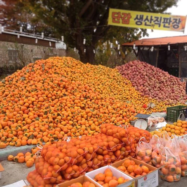 Seasonal Korean Fruit - Fall & Foliage of Korea!