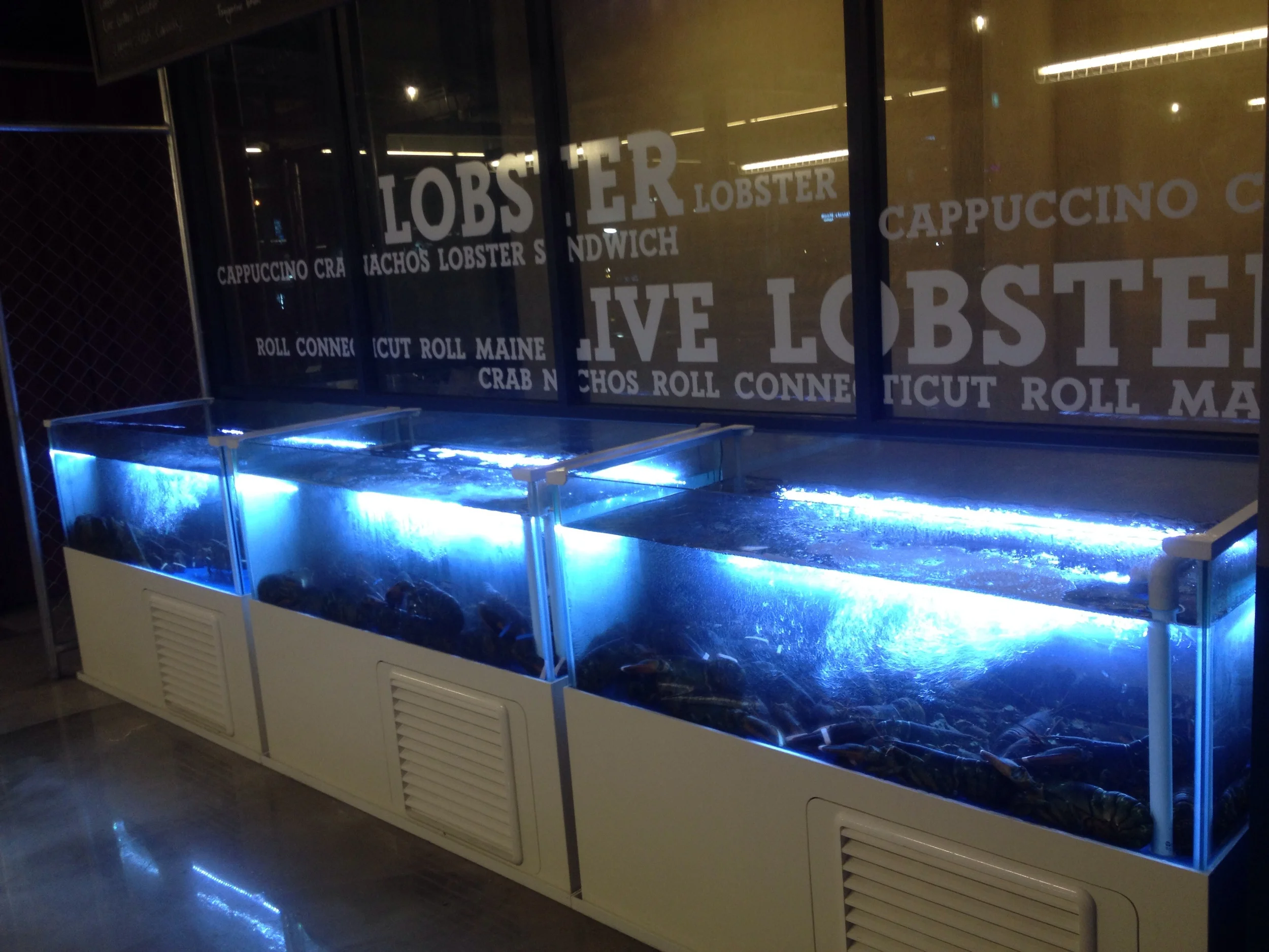 Tanks of fresh lobster as you walk in! Flown in live from Maine!