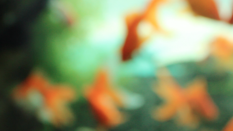 Screen Shot 2014-05-18 at 11.54.37 PM.png