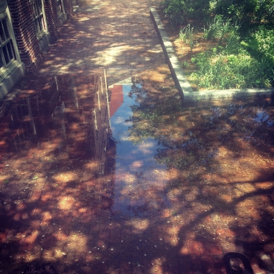 &nbsp;마음이 고여버린 물웅덩이 같다.