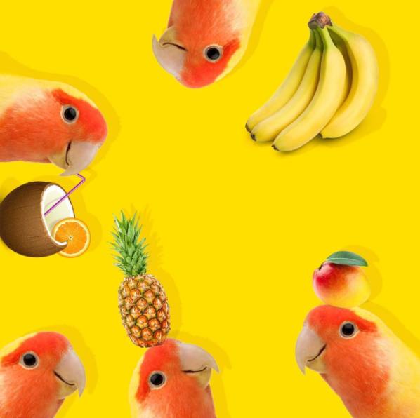 Screen Shot 2017-06-13 at 2.39.33 PM.png