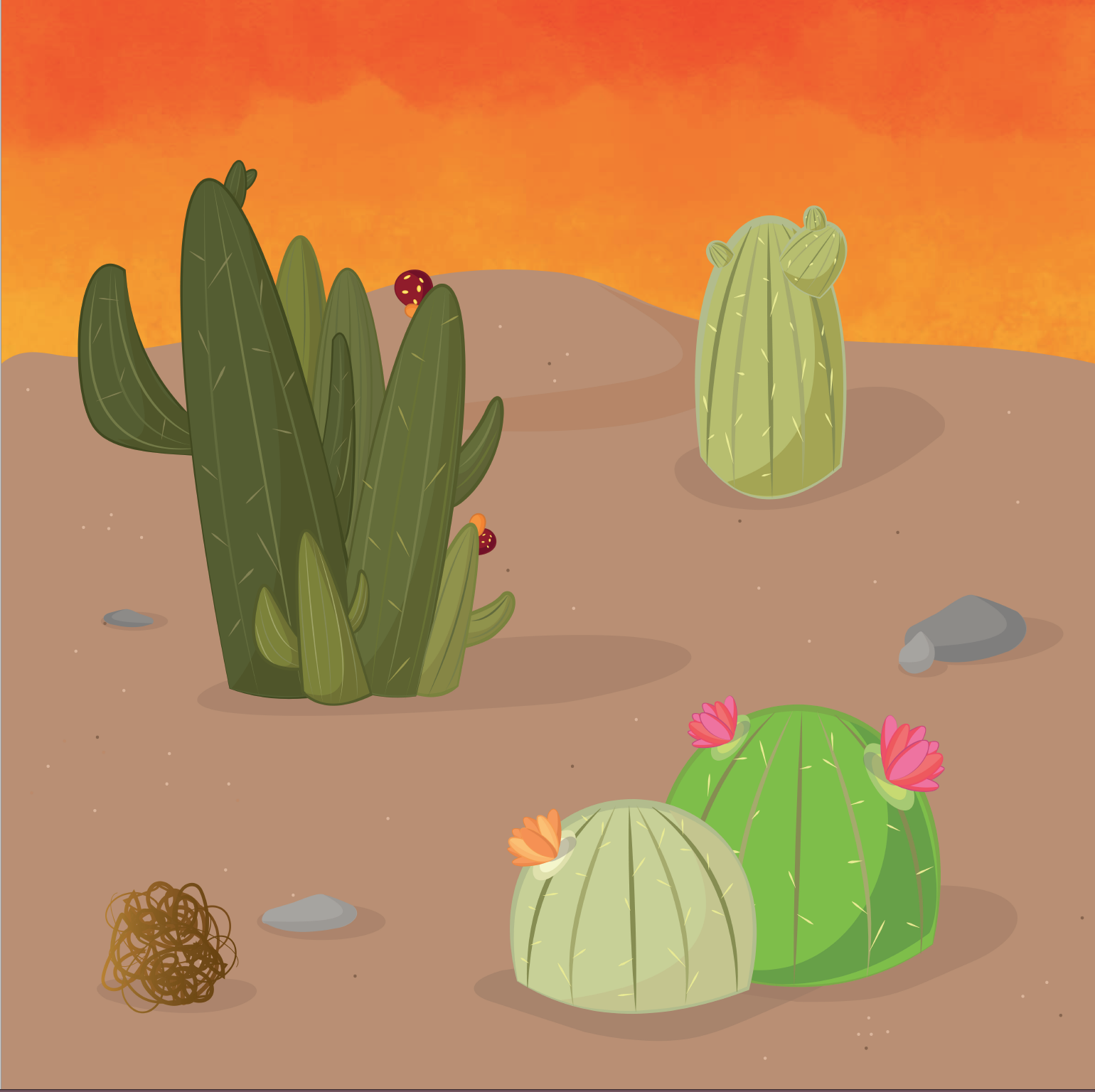 Screen Shot 2017-06-11 at 12.06.41 AM.png