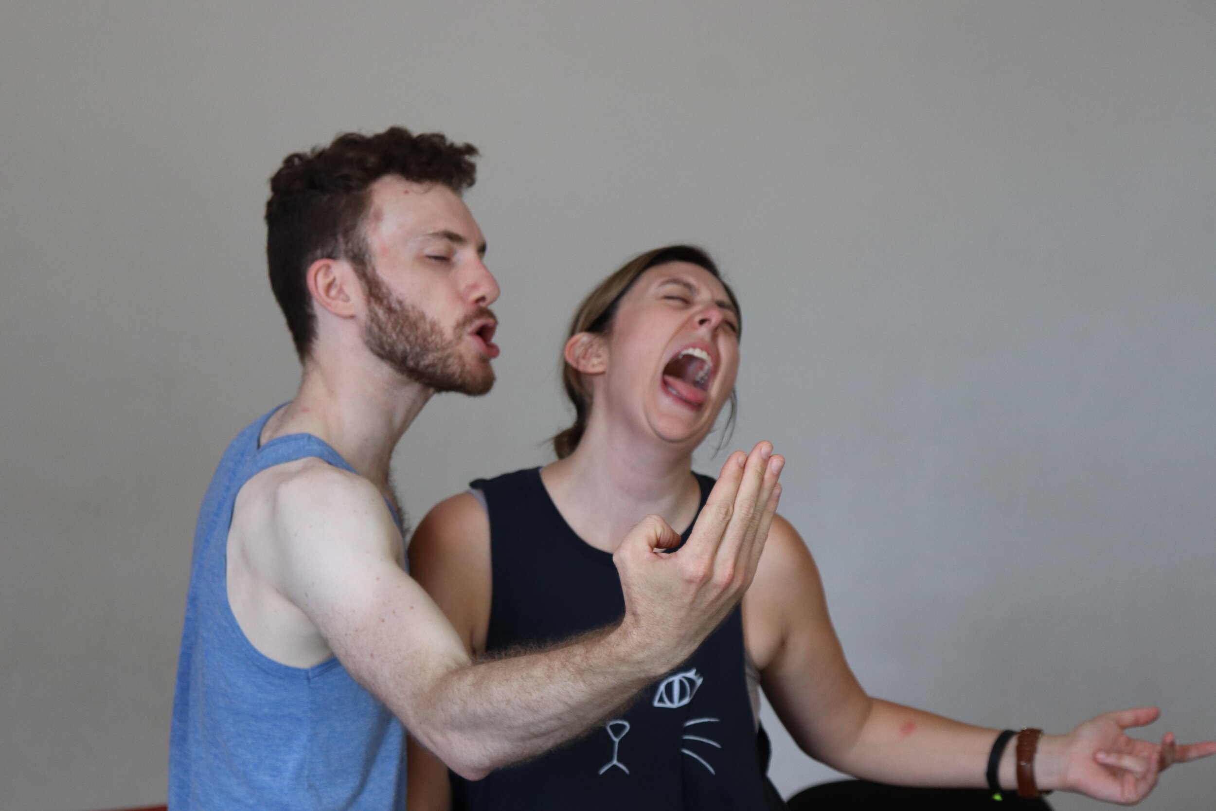 The “Importance” of Language in Commedia