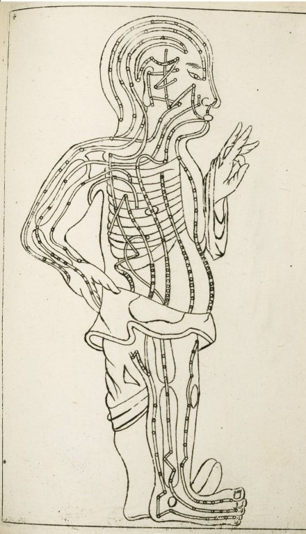 Drawing_of_the_human_body_showing_acupuncture_meridians..JPG