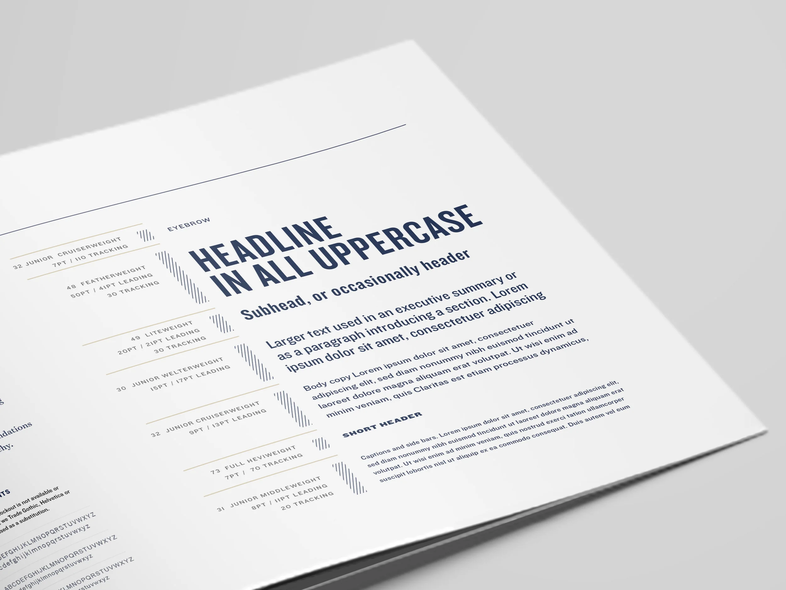 Robust set of brand guidelines for NRDC's many forms of communication