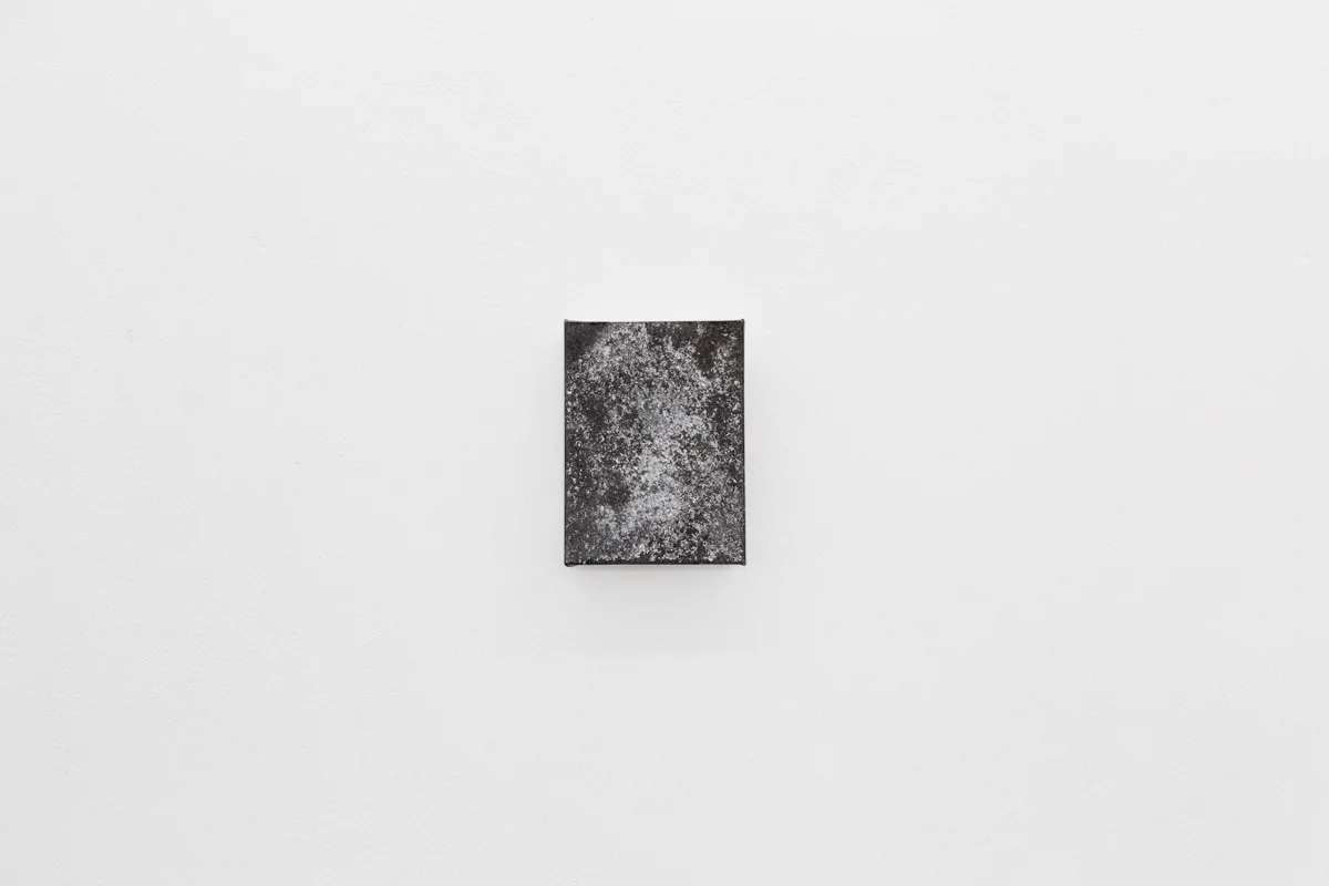 Dirt Painting #5 2015 Dirt and Enamel Paint on Cotton Canvas 7 x 5 inches