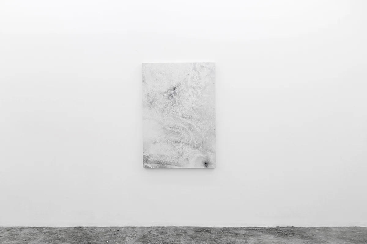 Dirt Painting #4 2016 Dirt, Enamel Paint on Cotton Canvas 48 x 34 inches