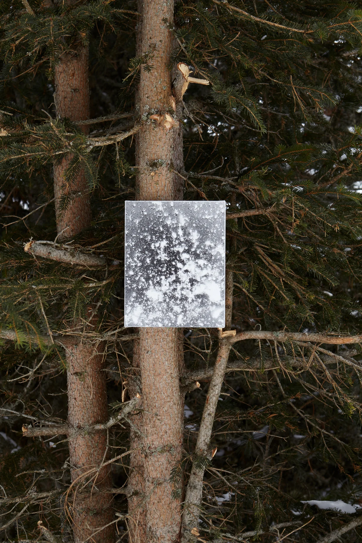 Dirt Painting #25 2018 Enamel Paint on Cotton Canvas 8 x 6 inches
