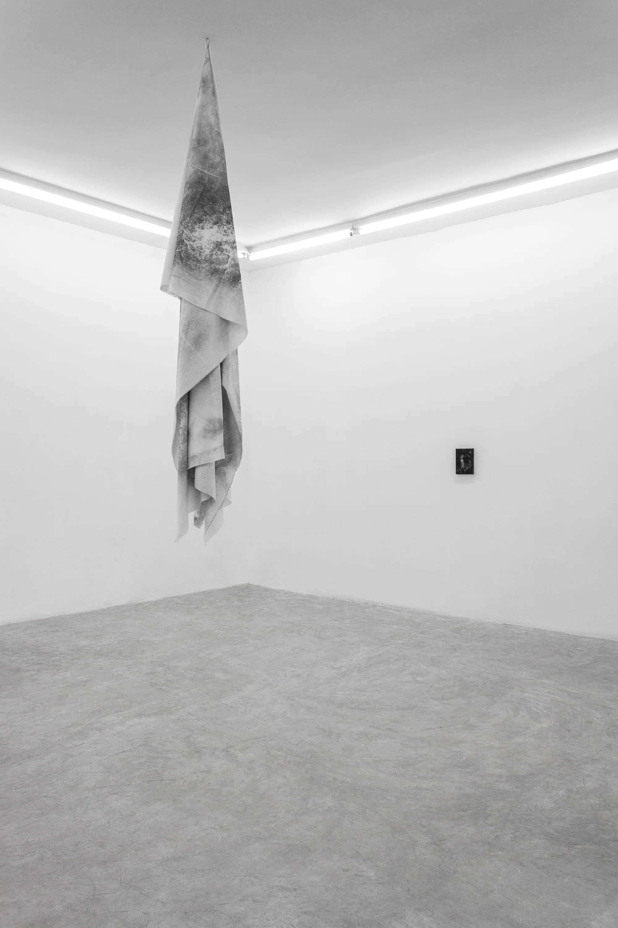 Installation shot for Not For Nothing at FIFI Projects. San Pedro, Mexico