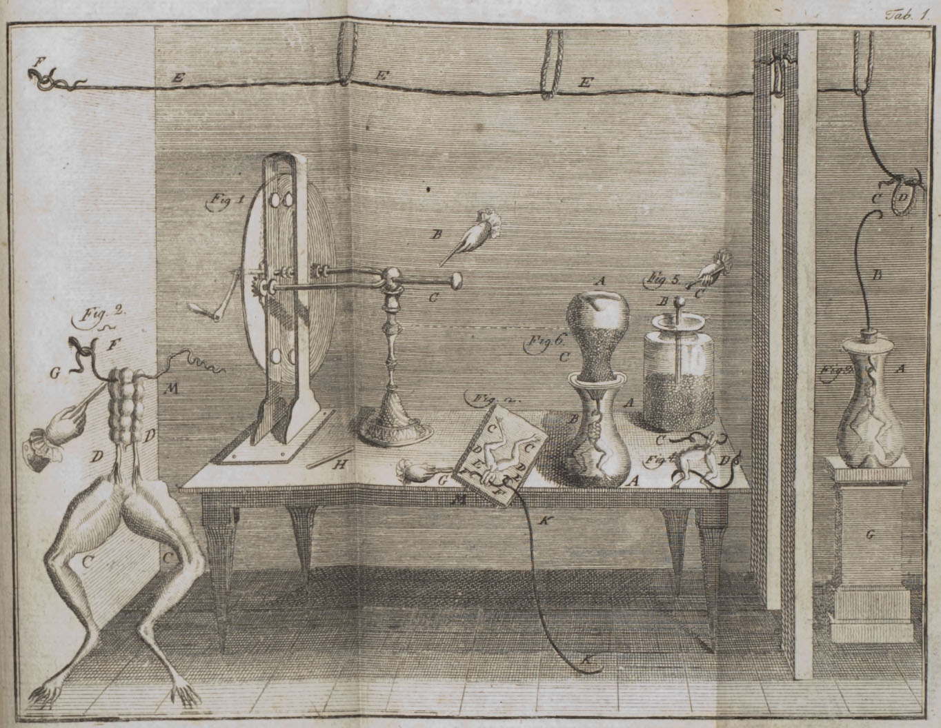 从Galvani的1791年出版物的一个插图，显示了他的实验中使用的一些设备（以及杂交制剂）。