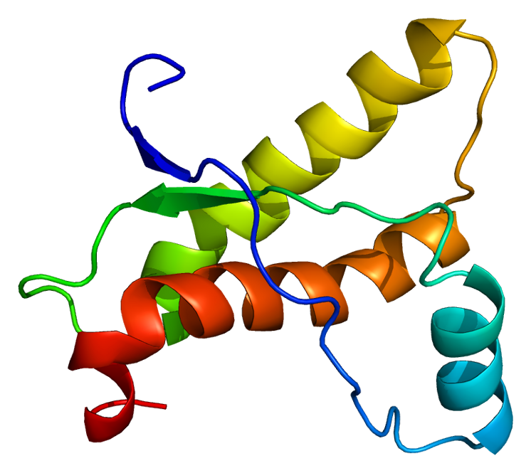 健康的朊病毒蛋白（不是错误的状态）。信用：来自Wikimedia Commons的emw。