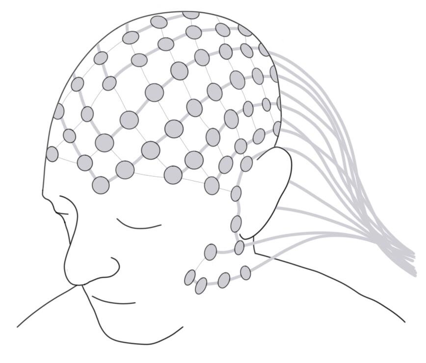 EEG.jpg