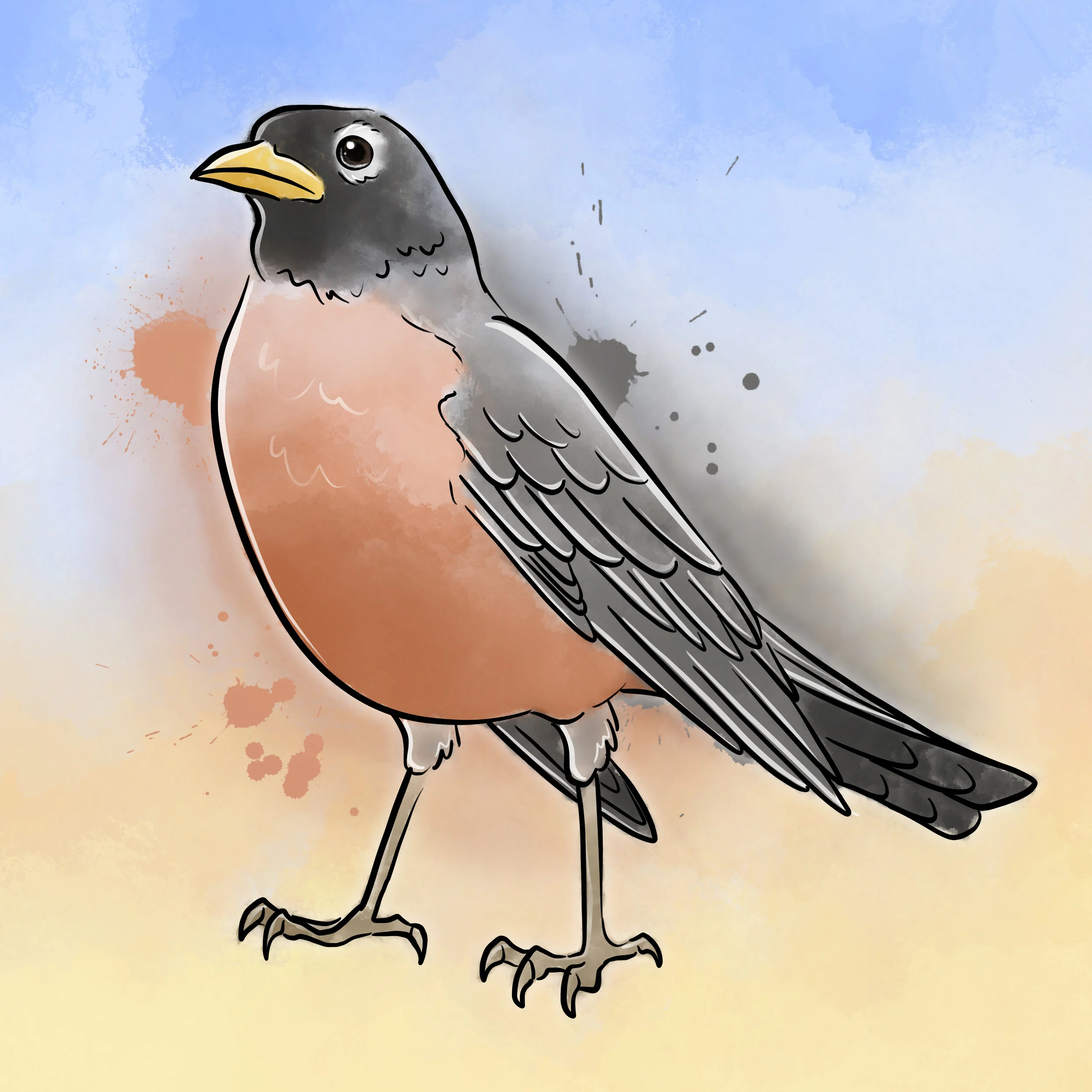 00108 - Robin.jpg
