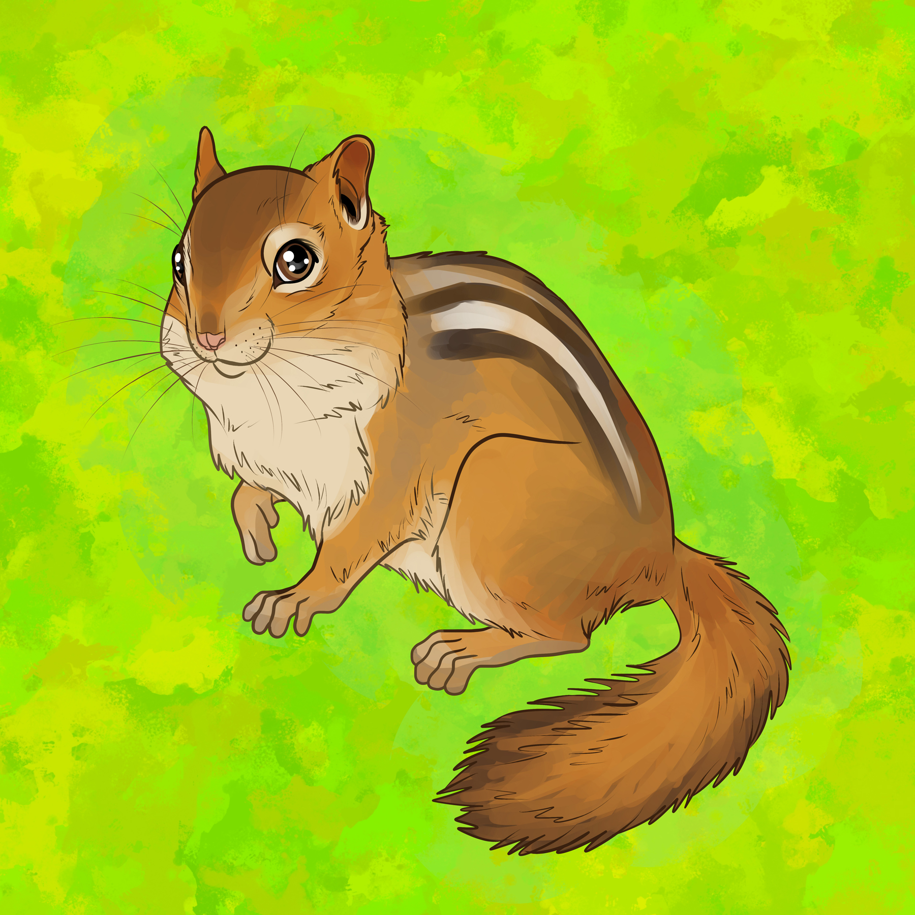 00420 - Cheeky Chipmunk.jpg