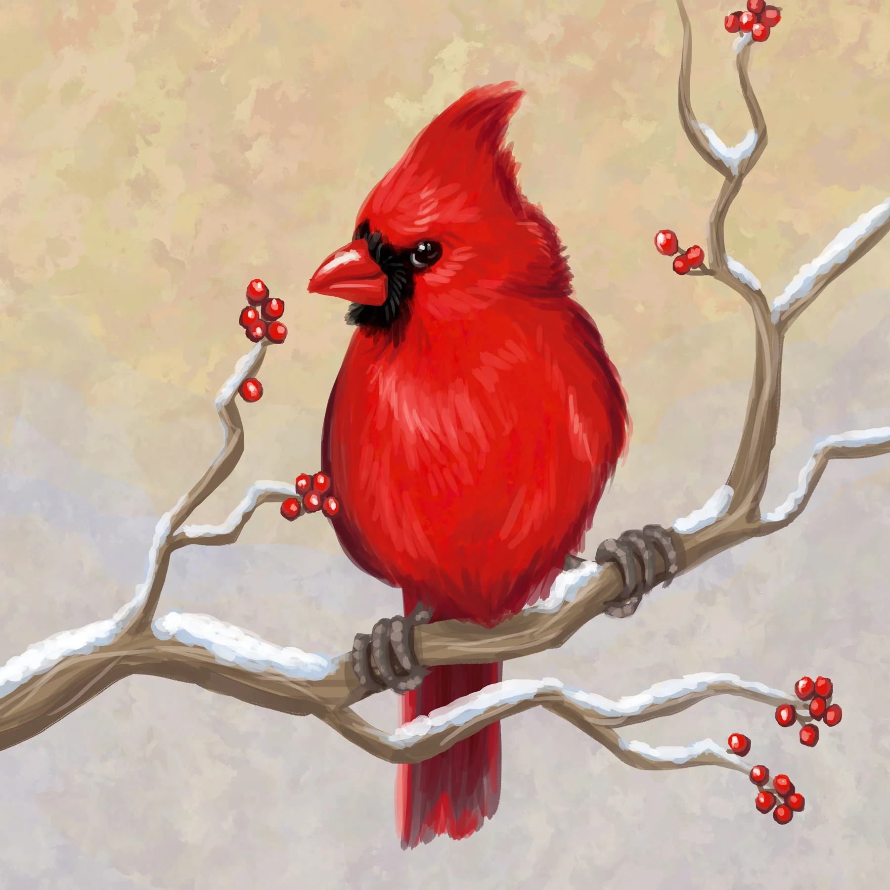 00213 - Cardinal in Winter.jpg