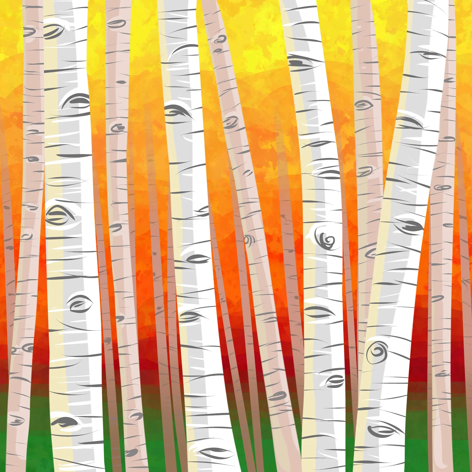 00294 - Birch Trees in Autumn.jpg
