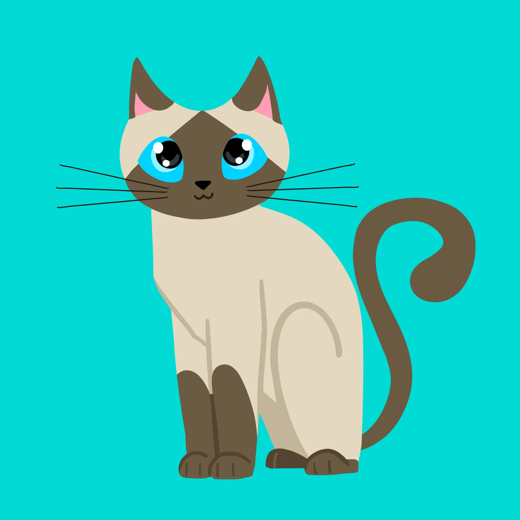00340 - Cute Siamese Cat.jpg