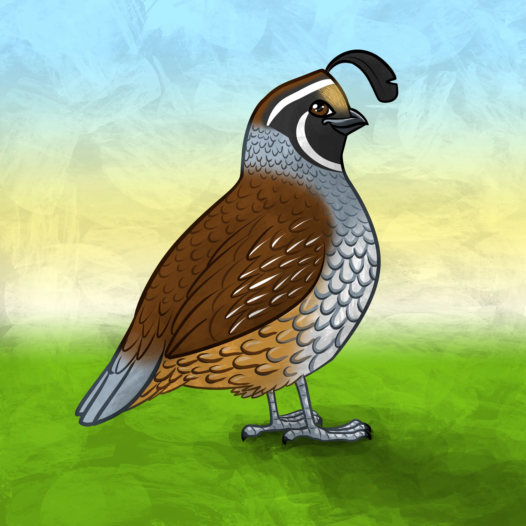 00359 - A Quail in Time.jpg